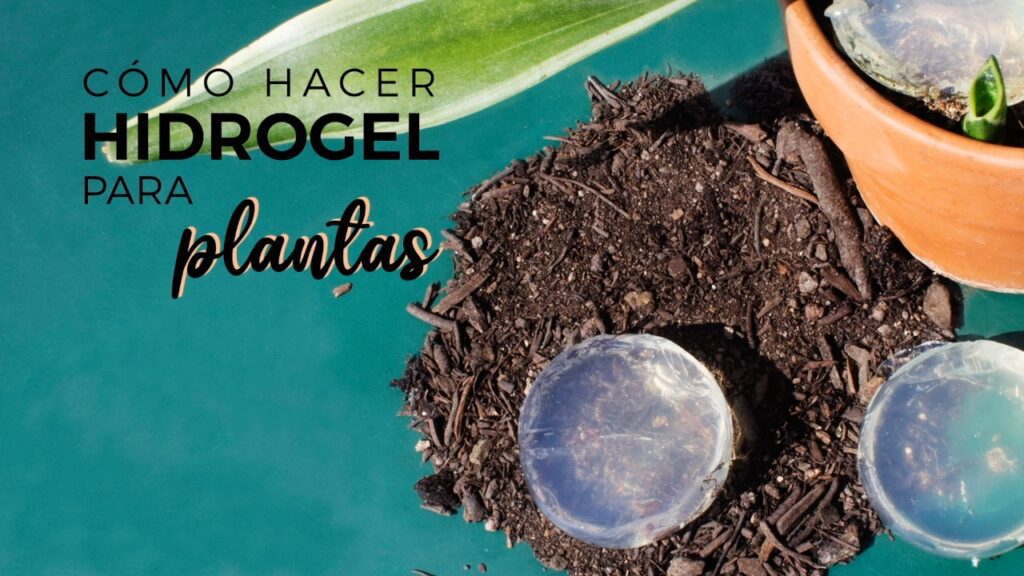 como hacer hidrogel para plantas